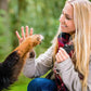 🔥Siste dag for 50 % rabatt🐕‍🦺Håndholdt Barkontroll Lysende Ultralyd Hundeskremmer